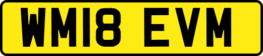 WM18EVM
