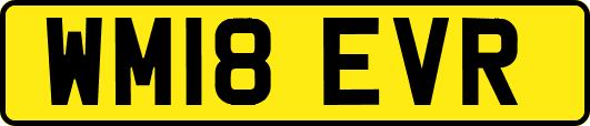 WM18EVR