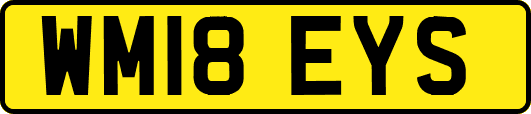 WM18EYS