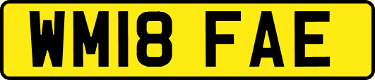 WM18FAE