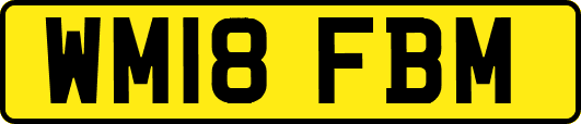WM18FBM