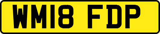 WM18FDP