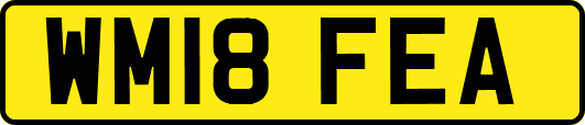 WM18FEA