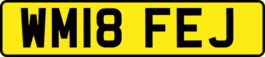 WM18FEJ