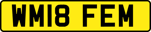 WM18FEM