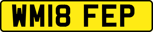 WM18FEP