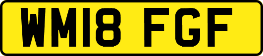 WM18FGF