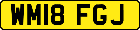 WM18FGJ