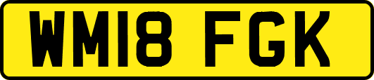 WM18FGK
