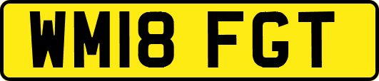 WM18FGT