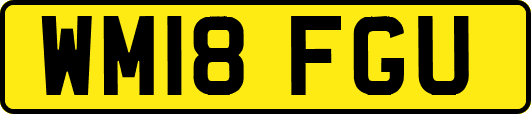 WM18FGU