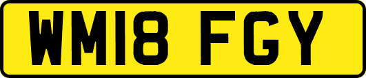 WM18FGY