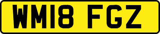 WM18FGZ