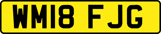 WM18FJG