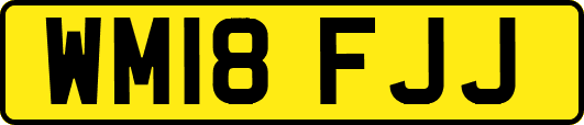 WM18FJJ