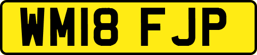 WM18FJP