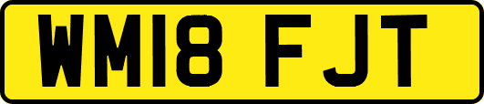 WM18FJT