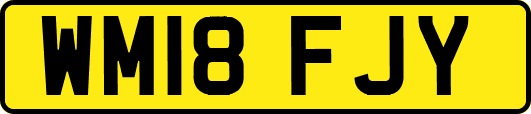 WM18FJY