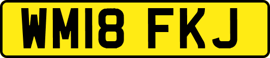 WM18FKJ