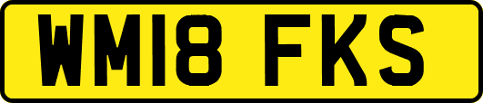 WM18FKS