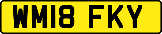 WM18FKY
