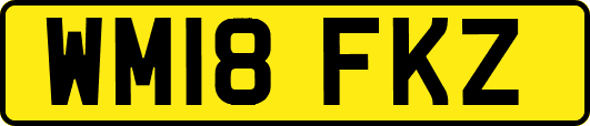 WM18FKZ