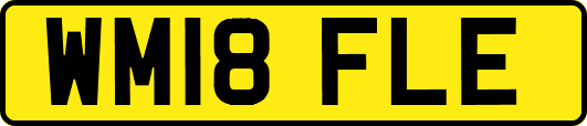 WM18FLE