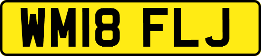 WM18FLJ