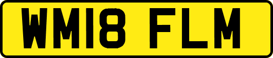 WM18FLM
