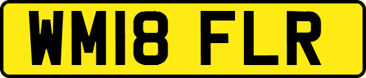 WM18FLR