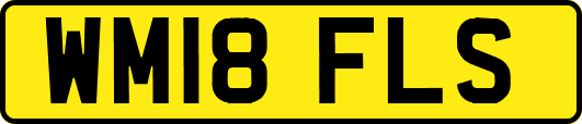 WM18FLS