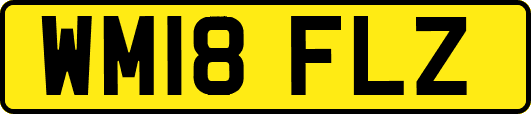 WM18FLZ