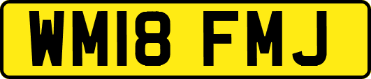 WM18FMJ
