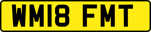 WM18FMT