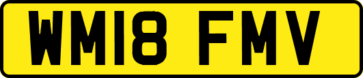 WM18FMV