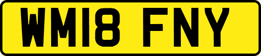 WM18FNY