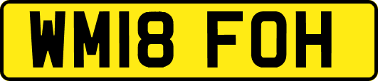 WM18FOH