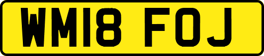 WM18FOJ