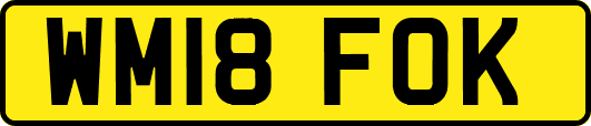WM18FOK