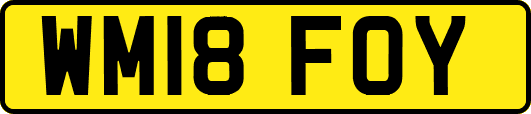 WM18FOY