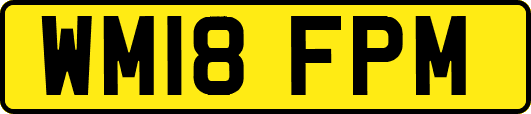 WM18FPM