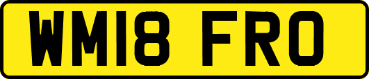 WM18FRO