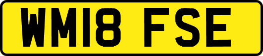 WM18FSE