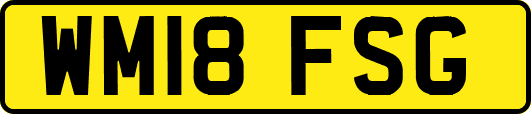 WM18FSG