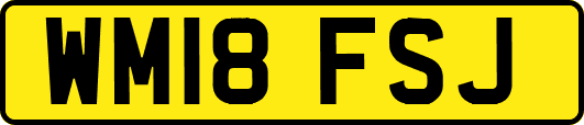 WM18FSJ