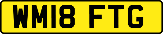 WM18FTG