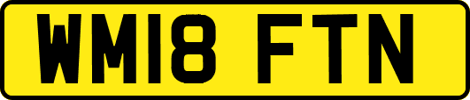 WM18FTN
