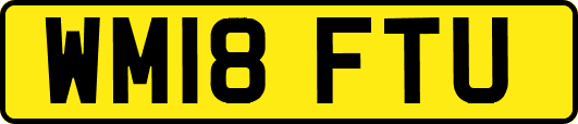 WM18FTU