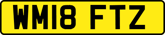WM18FTZ
