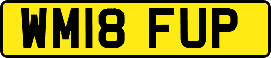 WM18FUP